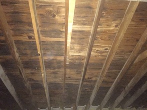 Mold in Your Attic?